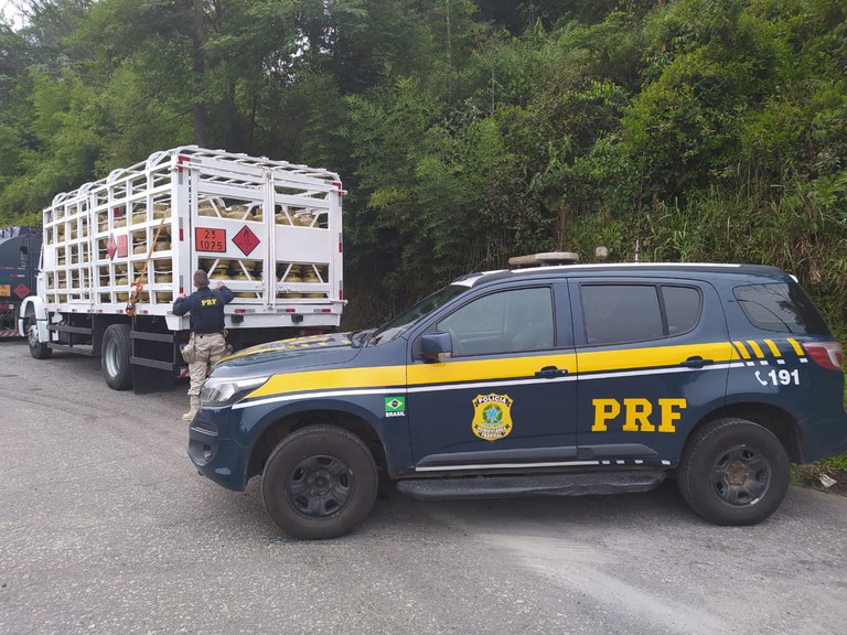 WhatsApp Image 2023-04-05 at 10.17.03.jpeg