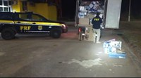 PRF prende dois indivíduos e frustra roubo de carga na Fernão Dias