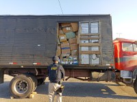PRF apreende cerca de 5 toneladas de mercadorias durante atendimento a acidente na BR-381