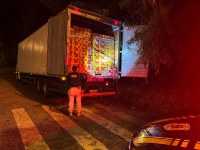PRF apreende 103.155 latas de cerveja e 540 caixas de sabão em pó na BR-040