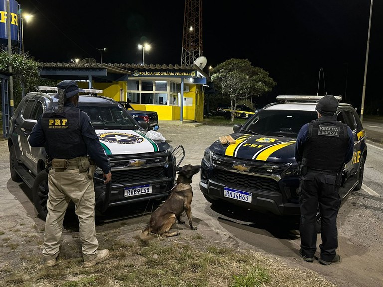 Maconha e Cocaína Oliveira.jpeg