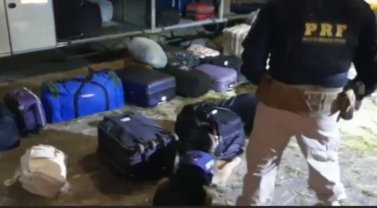 Maconha Oliveira 1.jpeg