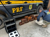 Polícia Rodoviária Federal resgata pássaros silvestres dentro de automóvel em Salinas (MG)