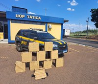PRF apreende aproximadamente 200 kg de Maconha após motorista tentar evadir de fiscalização