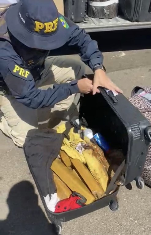 Maconha Pouso Alegre Setembro.jpeg