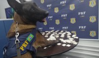 PRF apreende cocaína durante fiscalização na Fernão Dias