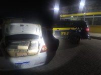 PRF recupera 350 pássaros transportados em situação de maus-tratos em Montes Claros (MG)