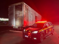 PRF apreende cerca de 2 mil pneus usados de origem estrangeira em Betim (MG)