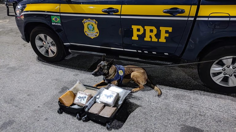 WhatsApp Image 2024-08-20 at 09.32.11.jpeg