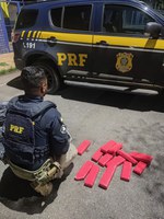 PRF prende passageiro de ônibus transportando cerca de 10kg de maconha na BR-365