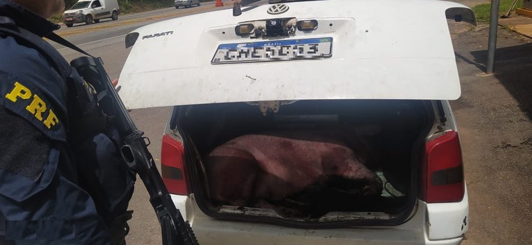 WhatsApp Image 2024-02-09 at 16.04.27.jpeg