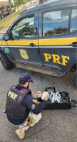 PRF apreende cocaína dentro de caixa de som na BR-365