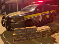 PRF apreende e liberta 155 pássaros silvestres no Sul de MG