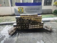 PRF e PMRv resgatam 86 pássaros silvestres transportados ilegalmente em Pouso Alegre (MG)