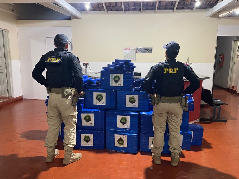 Imagem do WhatsApp de 2025-08-13 à(s) 08.18.46_ff6229e1.jpg