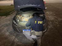 PRF prende motorista de aplicativo com carro clonado na Fernão Dias, em Itapeva (MG)