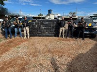 PRF apreende mais de 1,3 toneladas de Maconha em carreta na BR 262 em Bom Despacho (MG)