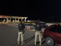 PRF prende 4 homens por tráfico de drogas na Fernão Dias, em Cambuí (MG)