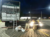 PRF apreende grandes carregamentos de cigarros sem nota fiscal na BR 381 e na BR 116 em MG