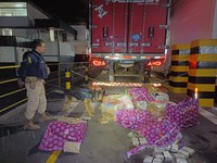 PRF apreende aproximadamente 400 kg de Maconha em carregamento de carne na BR 262 em MG