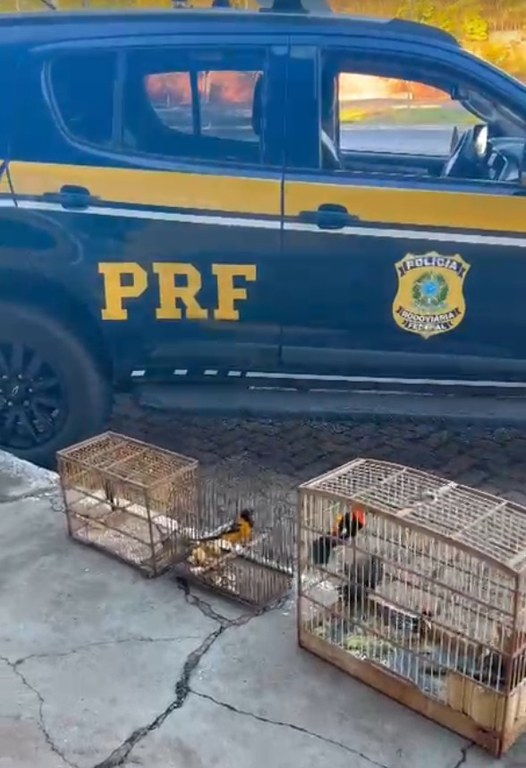 WhatsApp Image 2025-06-18 at 13.50.16.jpeg