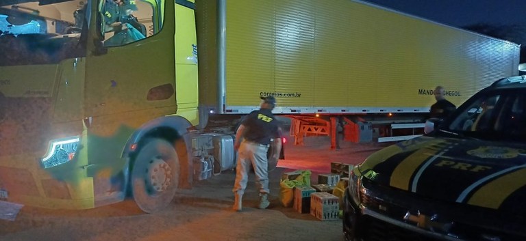 Pássaros Montes Claros Correio.jpeg