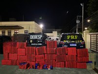 PRF e PCMG apreendem quase 1 tonelada de Maconha durante ação conjunta em Formiga (MG)