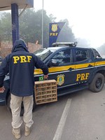 PRF resgata 109 pássaros silvestres durante fiscalização na BR 267 em Caxambu (MG)