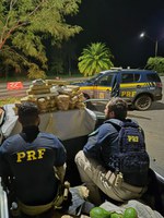 PRF apreende cerca de 30 quilos de maconha escondidos em fundo falso de veículo na BR-365