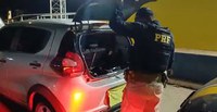PRF apreende 44 barras de maconha no porta-malas de veículo em Rio Casca (MG)