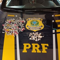 PRF apreende cocaína e crack e prende 2 passageiros na BR-040, em Sete Lagoas (MG)