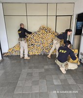 PRF apreende 840 Kg de Maconha durante fiscalização de veículo na BR 262 em Betim (MG)