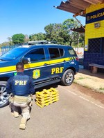 PRF apreende 32 tabletes de maconha em veículo na BR-365, em Patos de Minas (MG)