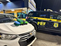 PRF apreende cerca de 11 kg de maconha e prende dois jovens na BR-040