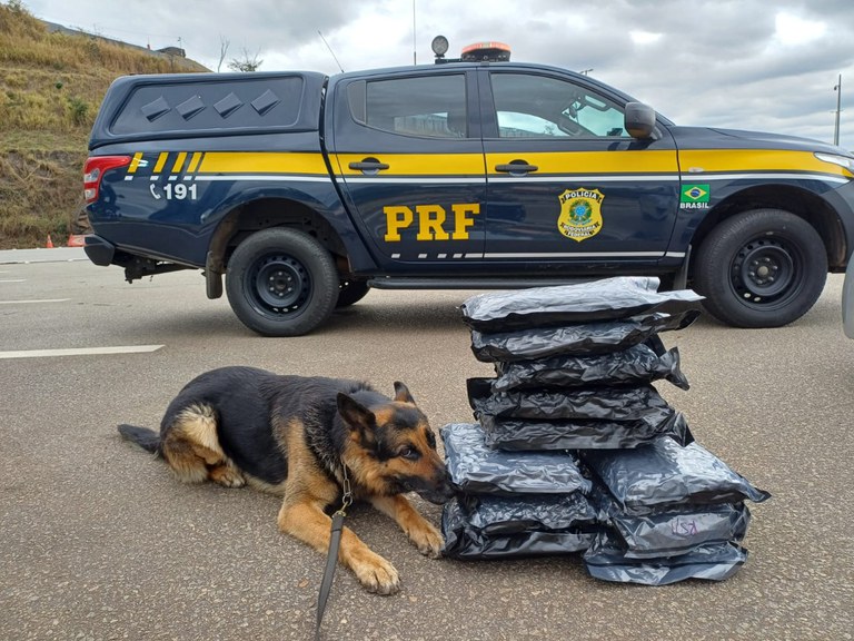 WhatsApp Image 2025-09-25 at 13.13.48.jpeg