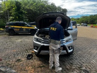 Caminhonete com sinais adulterados e registro de furto é apreendida pela PRF na BR-251, em Montes Claros (MG)