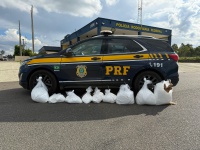 PRF apreende mais de 111 kg de cocaína em veículo clonado na BR-381, em Cambuí (MG)
