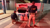 PRF apreende mais de 130 kg de maconha na BR-262, em Bom Despacho (MG)