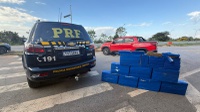 PRF apreende mais de 200 kg de maconha na BR-262, em Bom Despacho (MG)