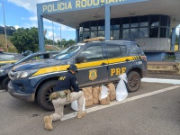 PRF prende homem e apreende cocaína avaliada em mais de R$ 12 milhões na BR-381, em Igarapé (MG)