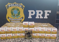 PRF prende mulher com 328 ampolas de medicamento para emagrecimento na BR-381, em Betim (MG)