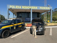 PRF recupera veículo furtado e prende condutor na BR-381, em Betim (MG)