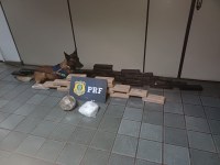 PRF apreende mais de 40 kg de drogas em ônibus na BR-381, em Betim (MG)