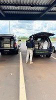 PRF apreende mais de 550 kg de Maconha durante fiscalização de veículo na BR-050 em Uberaba (MG)