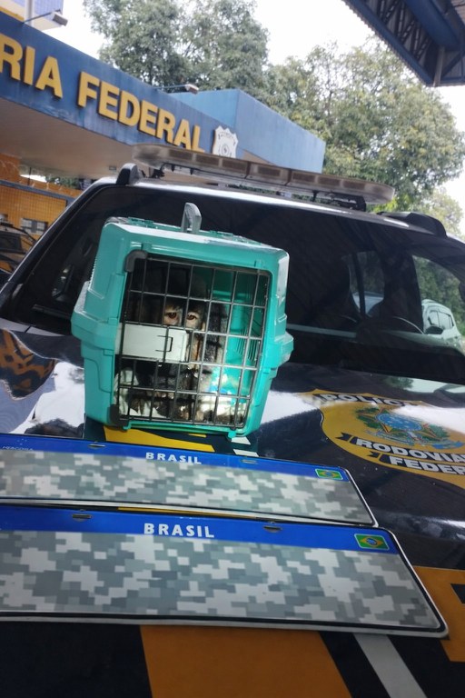 WhatsApp Image 2026-02-04 at 09.01.56 (1).jpeg