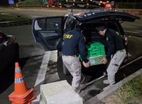PRF apreende cerca de 102kg de maconha e prende homem em Betim (MG)