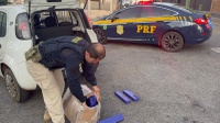 PRF apreende 35 kg de Maconha dentro de Fiat Uno na BR-262 em Nova Serrana (MG)
