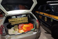 PRF resgata 157 pássaros em Governador Valadares (MG)