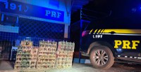 PRF apreende 423 pássaros silvestres dentro de automóvel, em Patos de Minas/MG