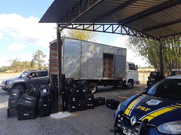 WhatsApp Image 2021-09-03 at 08.36.57.jpeg